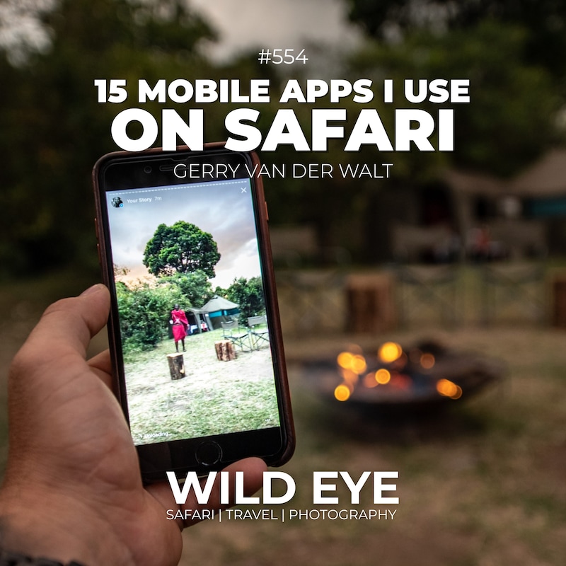 Artwork for podcast The Wild Eye Podcast