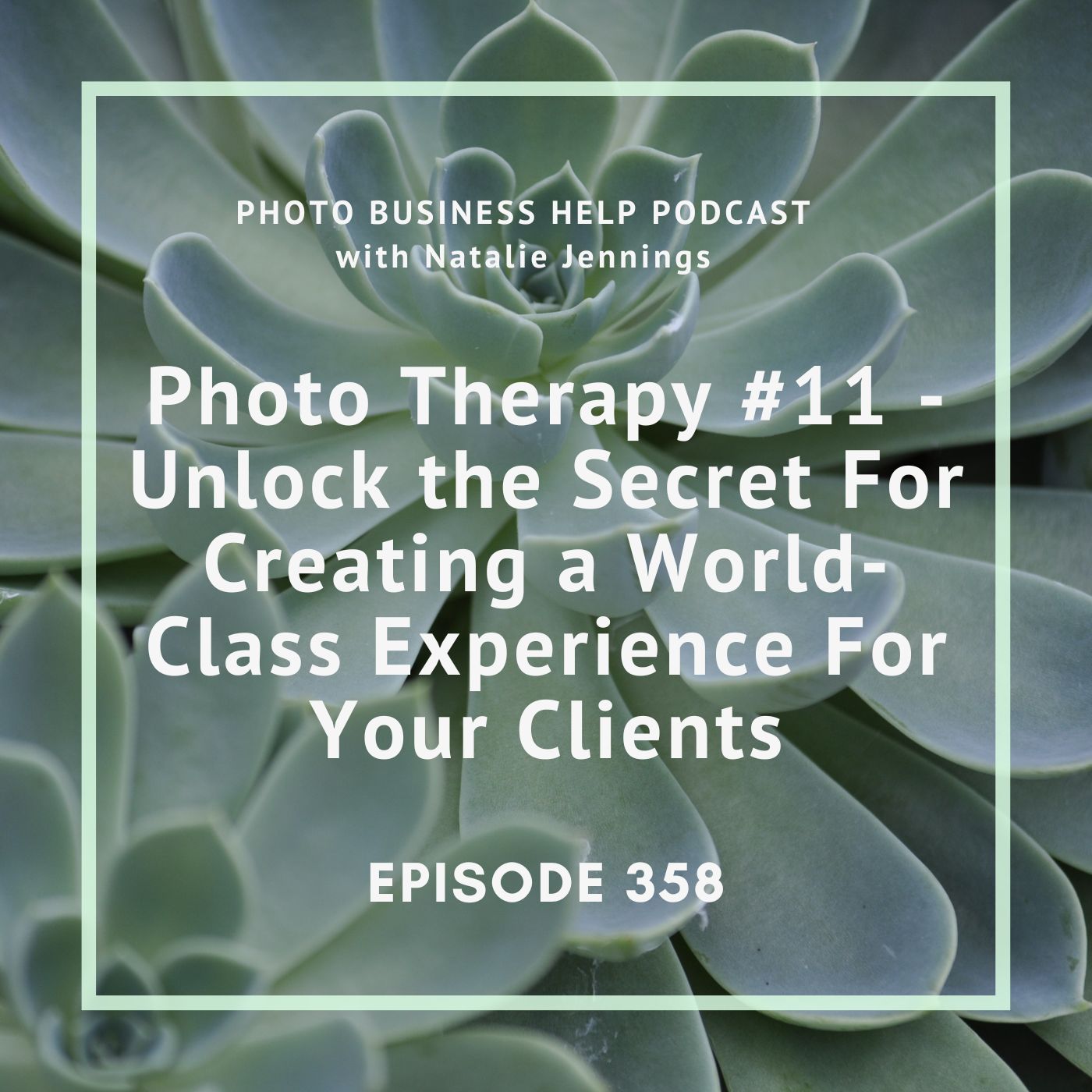 358 Photo Therapy #11 - Unlock the Secret For Creating a World-Class Experience For Your Clients