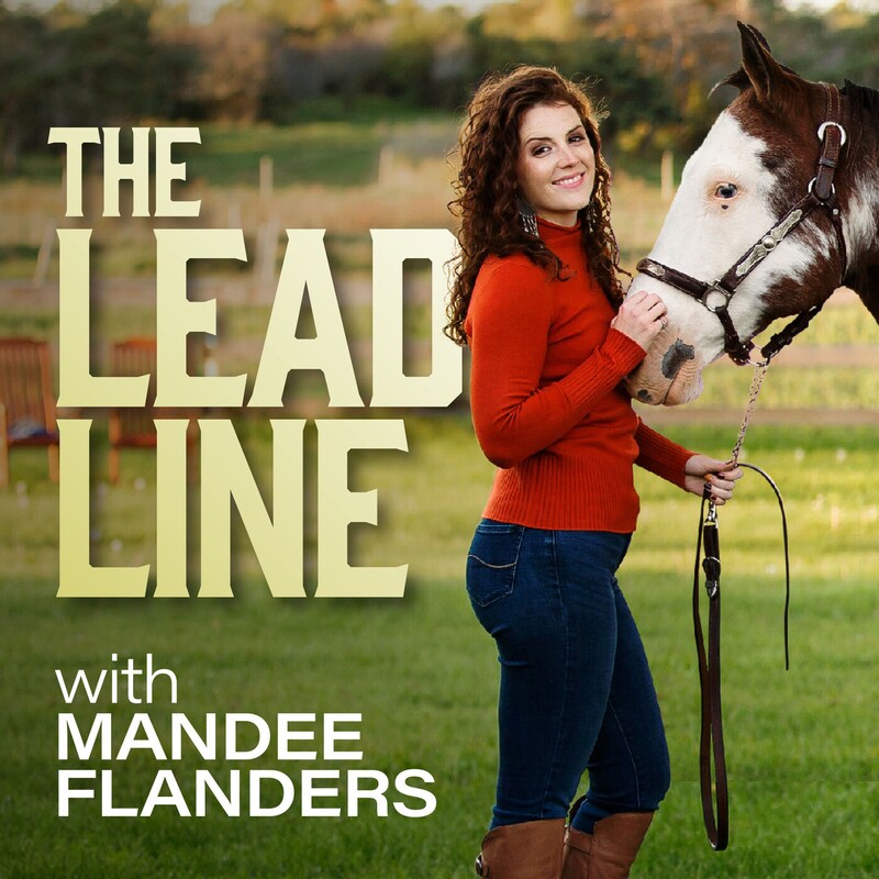 Artwork for podcast Horse Radio Network All Shows Feed