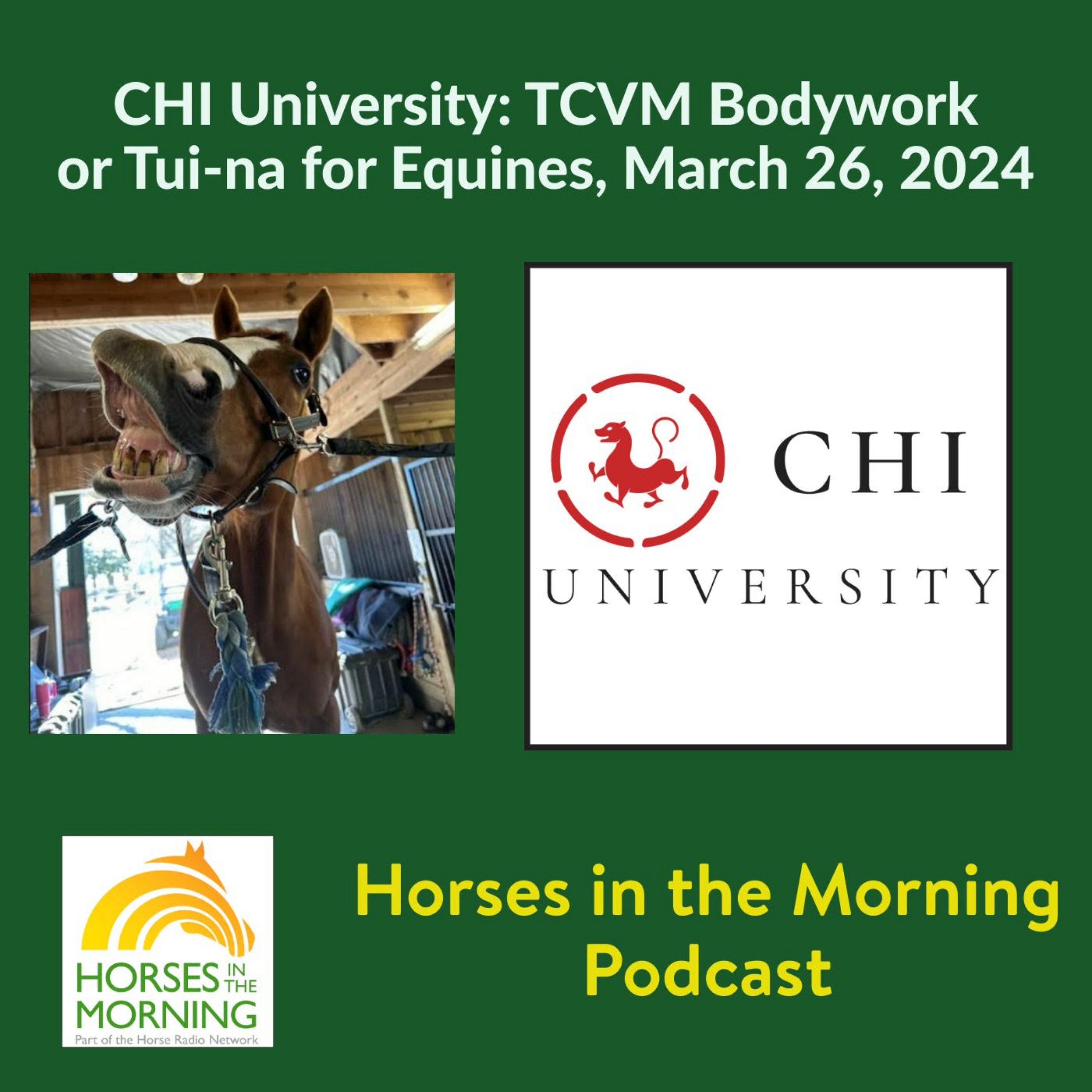 CHI University: TCVM Tui-na or Bodywork for Equines, for March 26, 2024 - HORSES IN THE MORNING