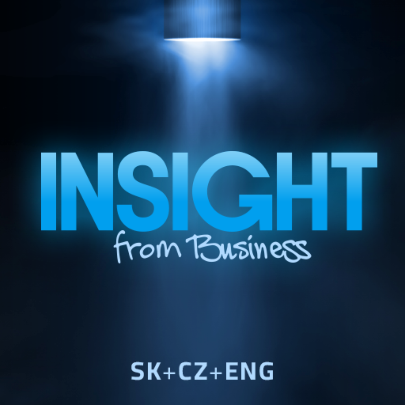 Show artwork for INSIGHT FROM BUSINESS (SK+CZ+ENG)