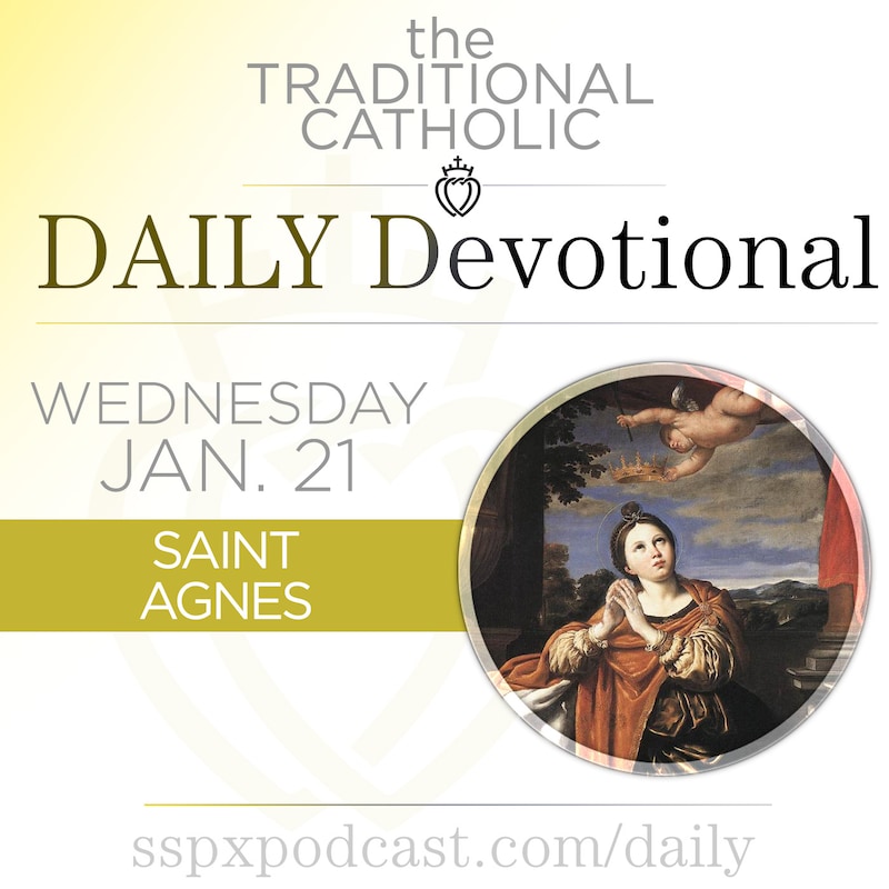Artwork for podcast Traditional Catholic Daily Devotional