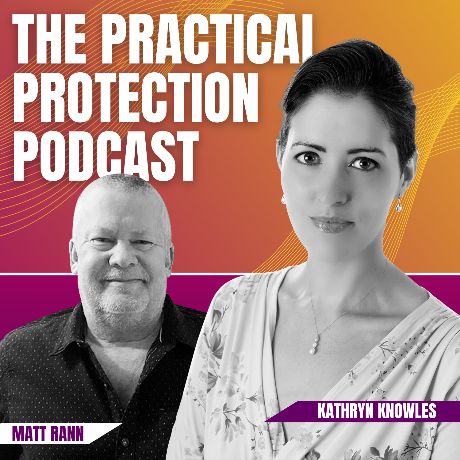 Artwork for The Practical Protection Podcast