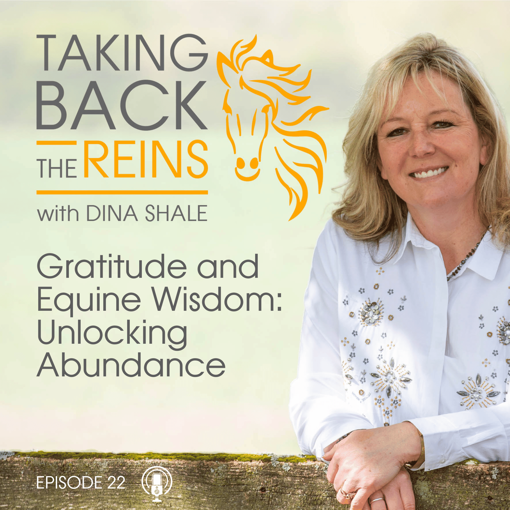 022 Gratitude and Equine Wisdom: Unlocking Abundance episode artwork