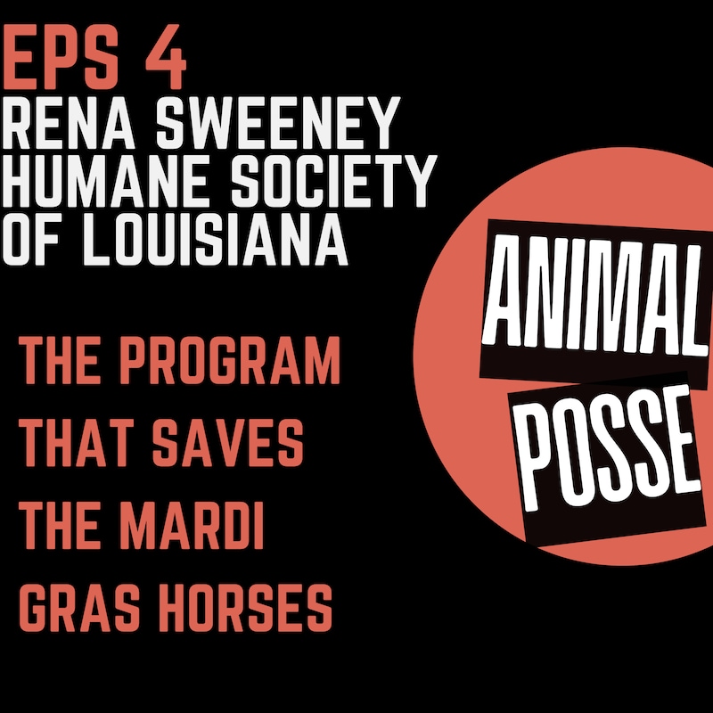 Artwork for podcast Animal Posse