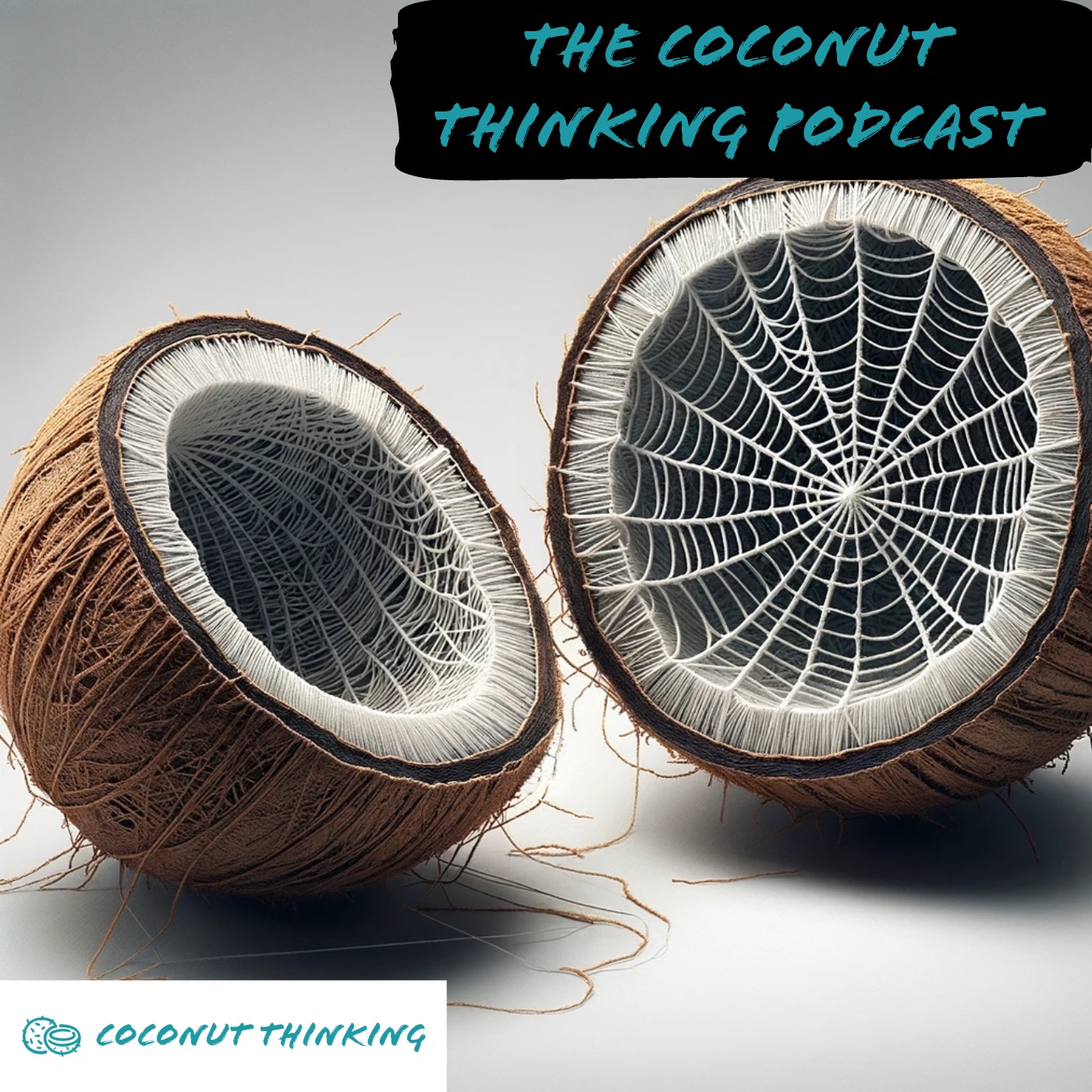 Artwork for Coconut Thinking