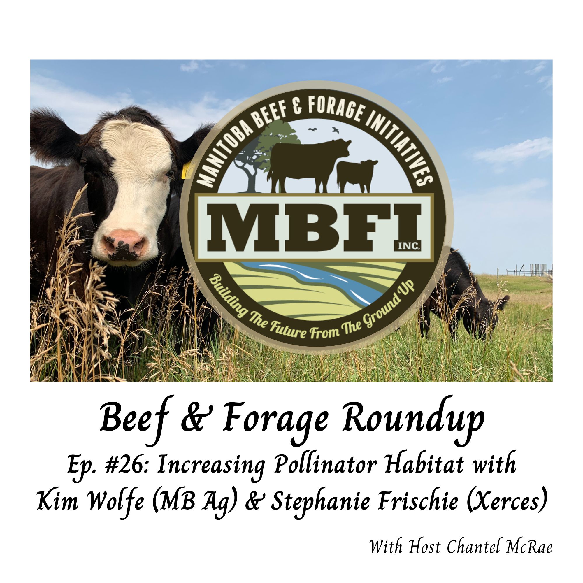 Beef and Forage Roundup