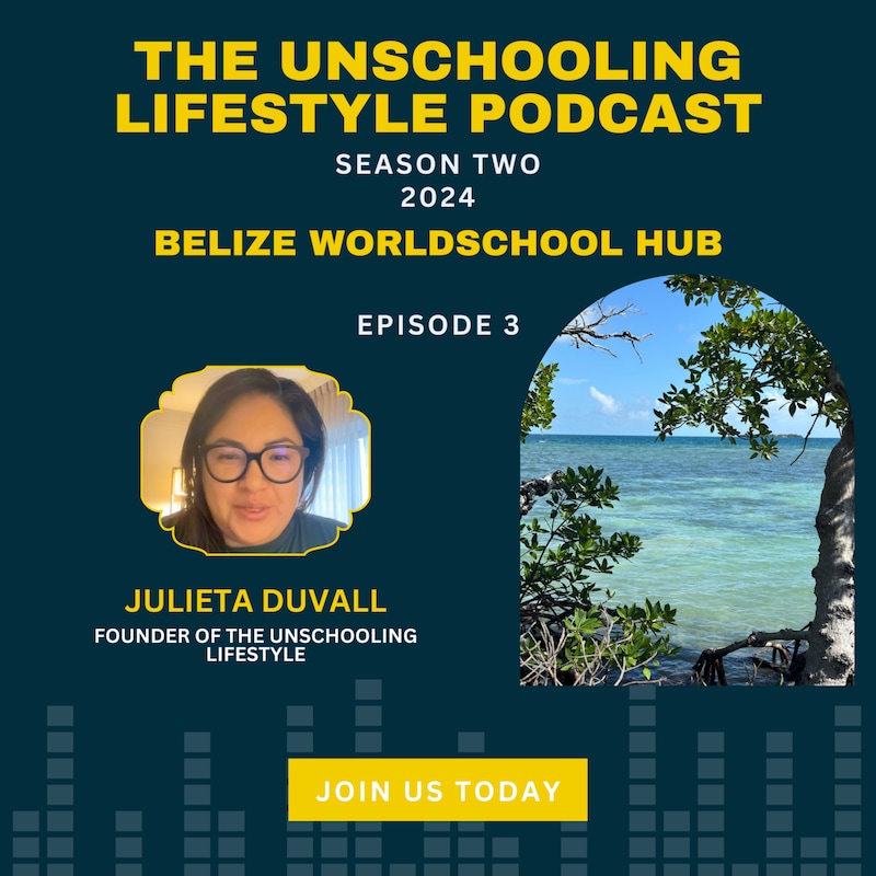 Artwork for podcast The Unschooling Lifestyle