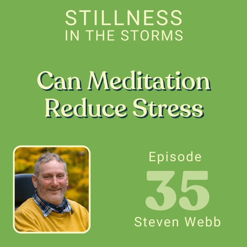Artwork for podcast Stillness in the Storms