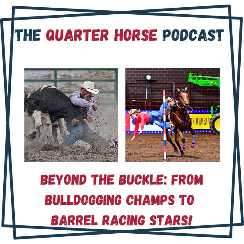 Artwork for podcast The Quarter Horse Podcast