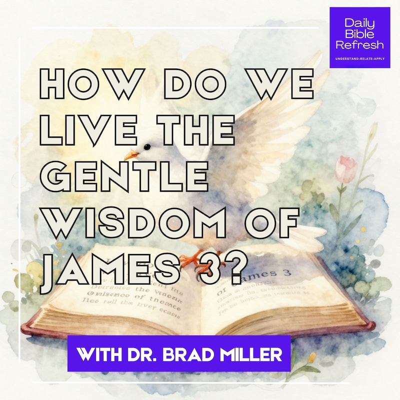 Artwork for podcast Daily Bible Refresh