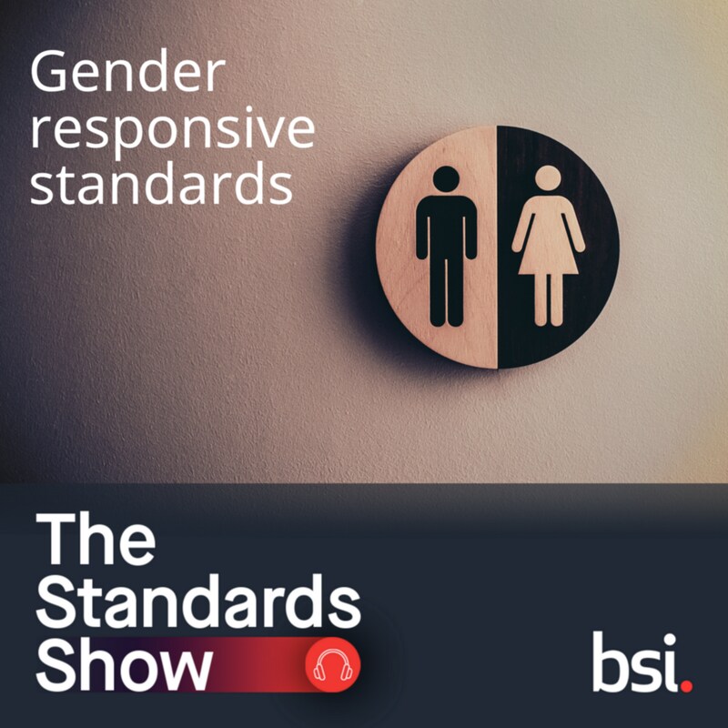 Artwork for podcast The Standards Show