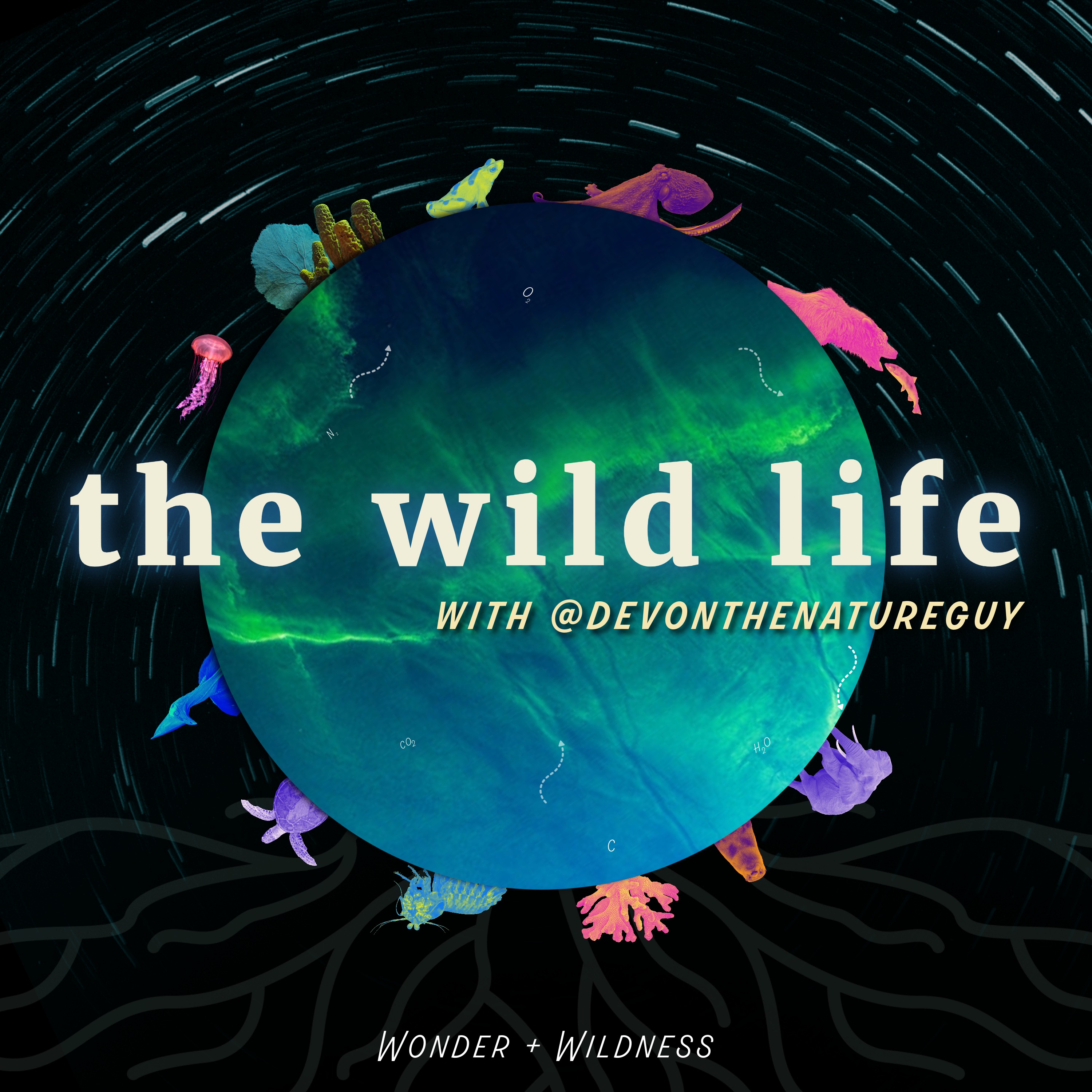 Show artwork for The Wild Life