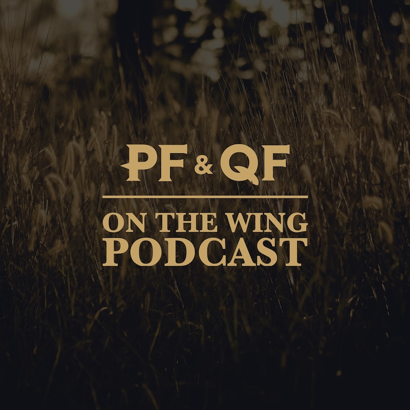 Artwork for podcast On The Wing Podcast
