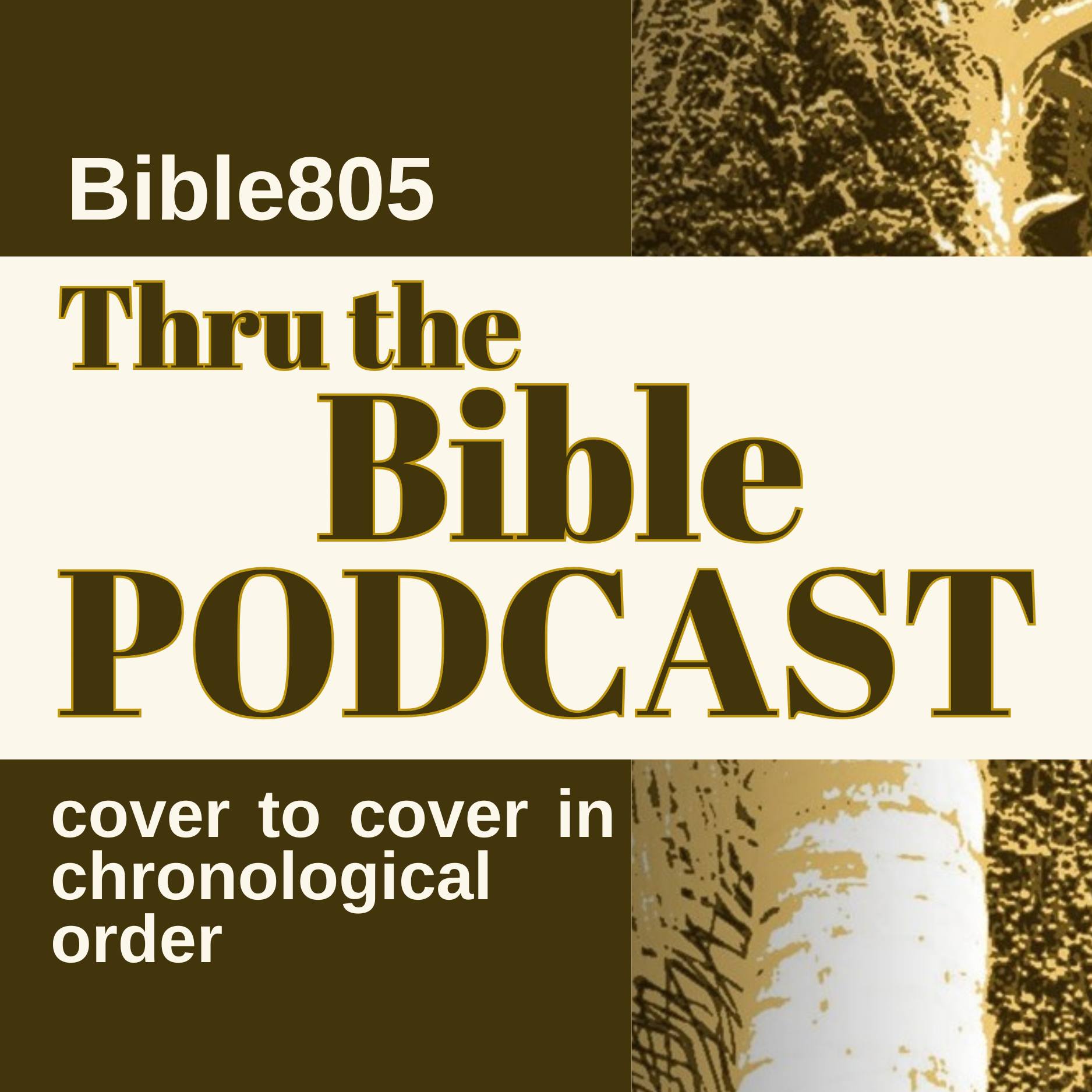 Show artwork for Thru the Bible, cover to cover in chronological order