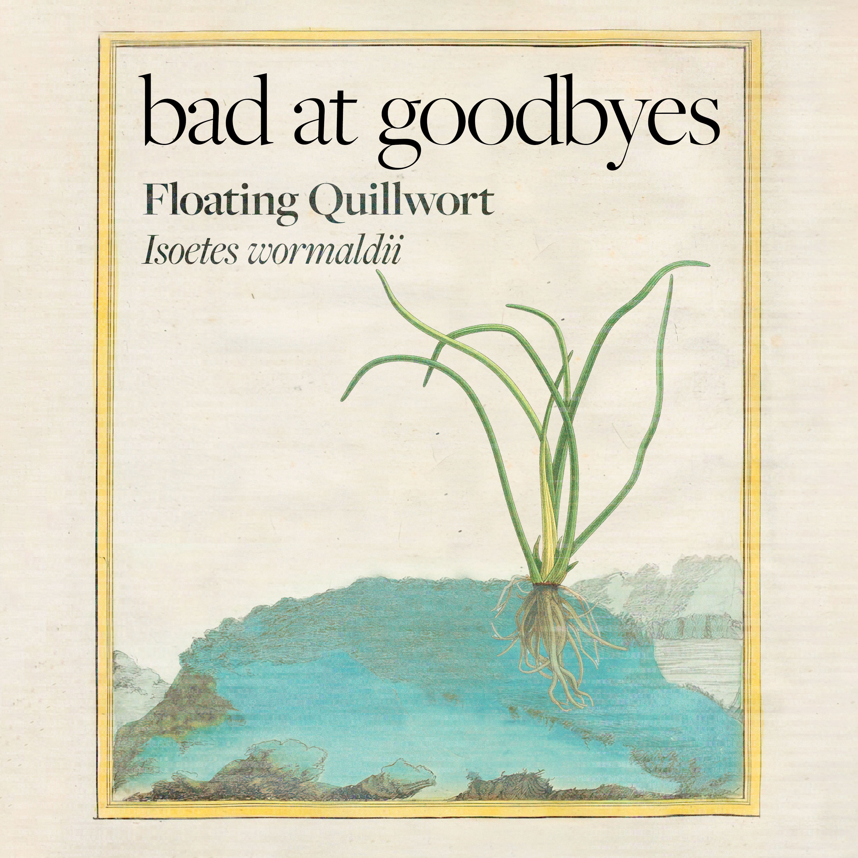 Floating Quillwort episode artwork