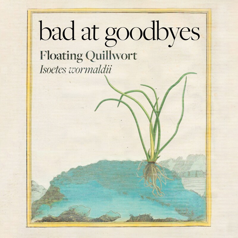 Artwork for podcast Bad at Goodbyes