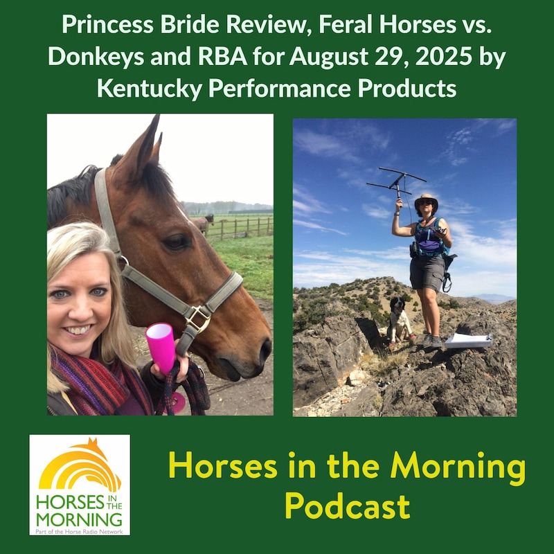 Artwork for podcast Horses in the Morning