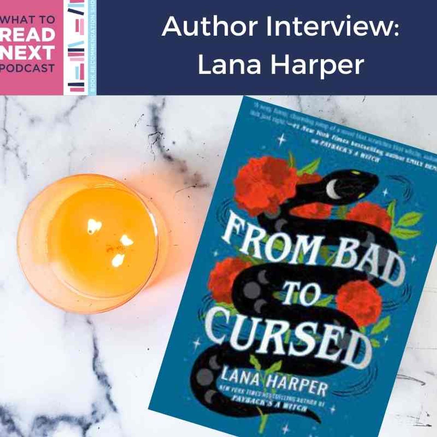 What to Read Next Podcast l Book Recommendation Show