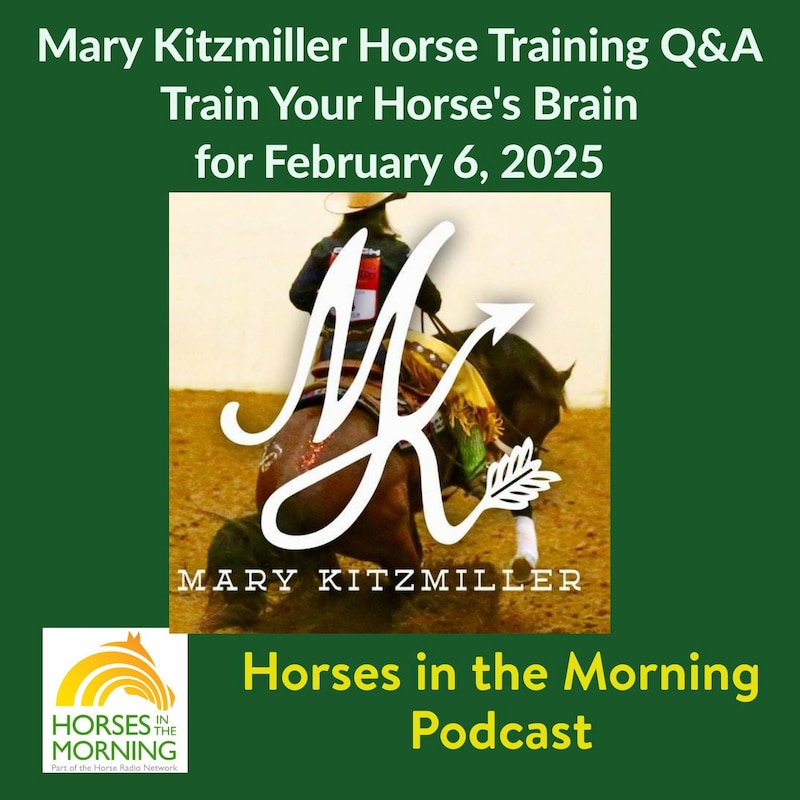 Artwork for podcast Mary Kitzmiller Training