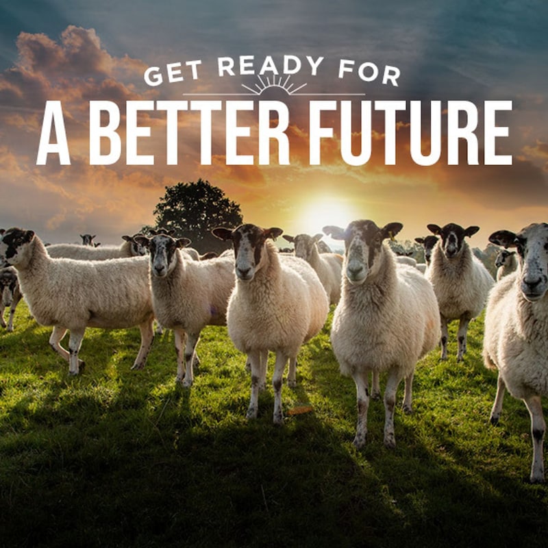 Artwork for podcast AHDB Food & Farming