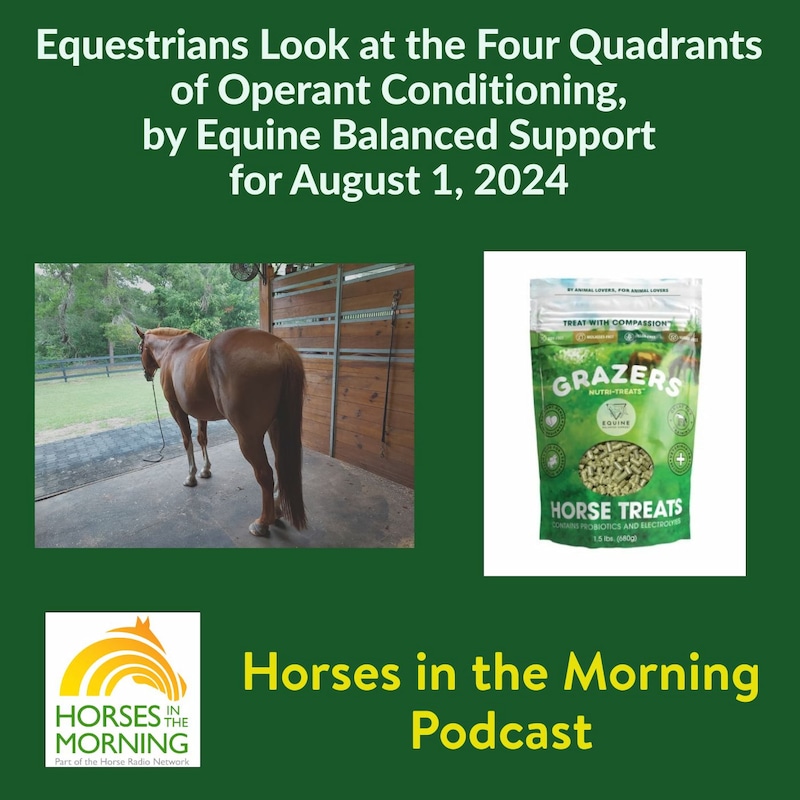 Artwork for podcast Horses in the Morning