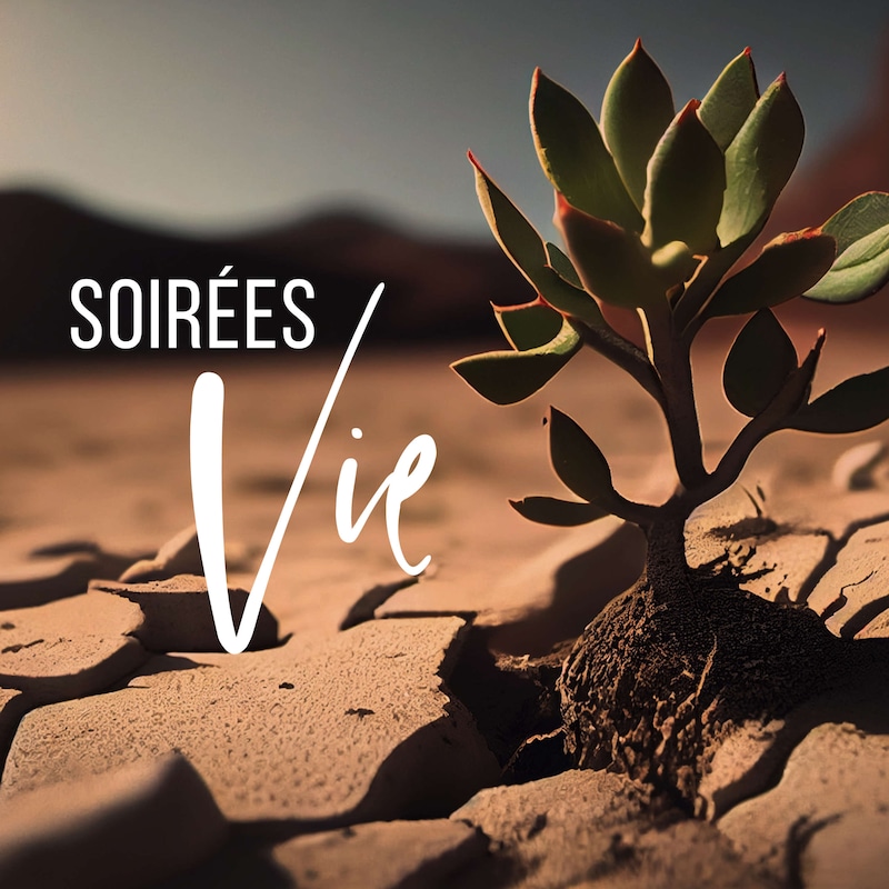 Artwork for podcast Soirées Vie