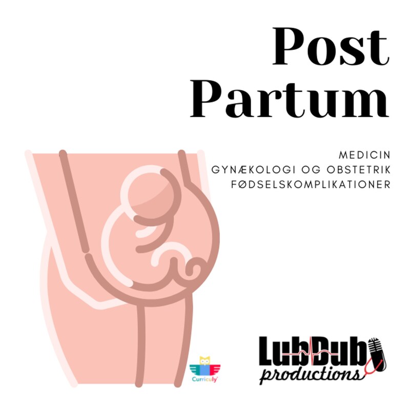 Artwork for podcast Lubdubs pensumpodcasts