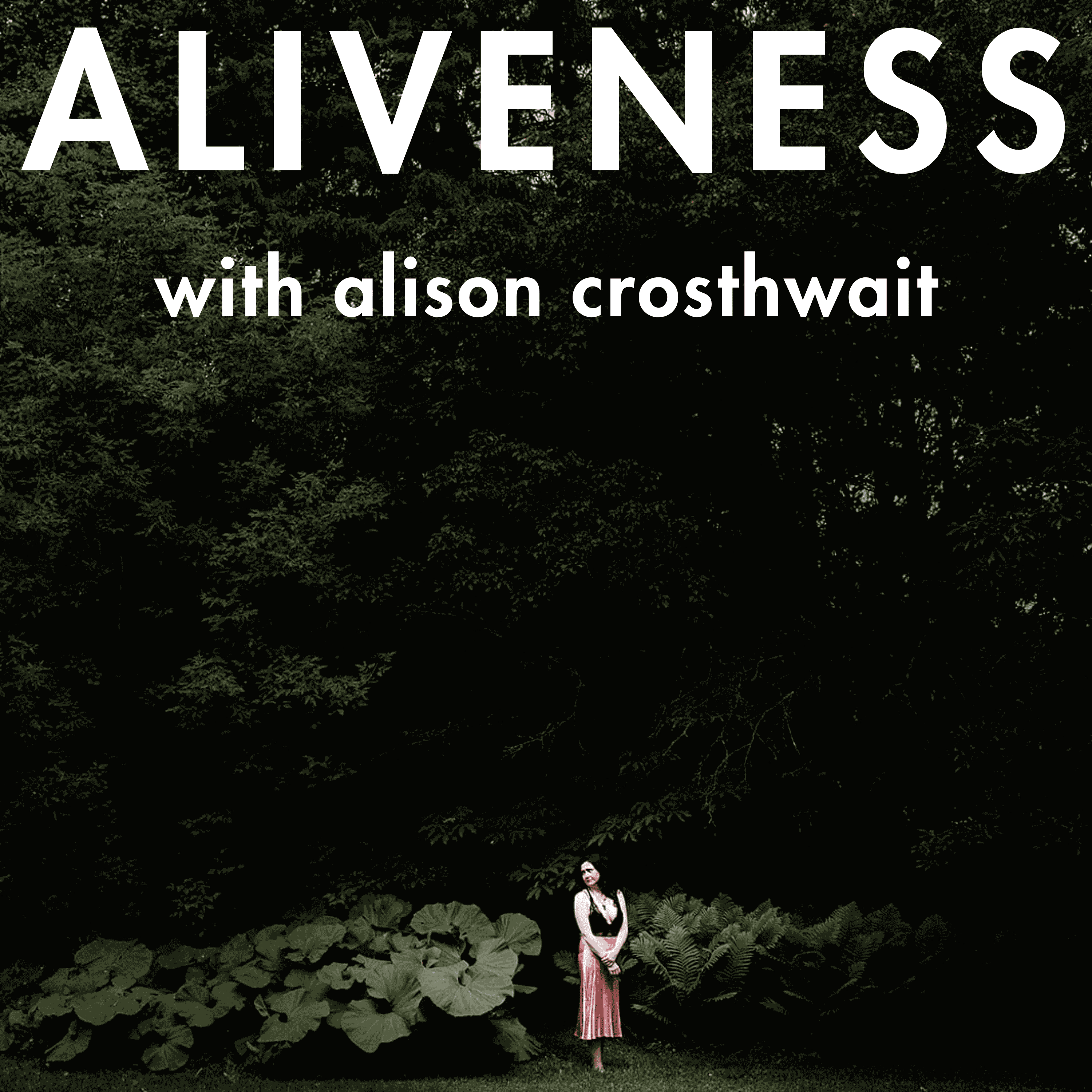 Artwork for Aliveness: Technology, love, money, sex, soul, governance