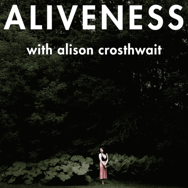 Artwork for podcast Aliveness: Technology, love, money, sex, soul, governance
