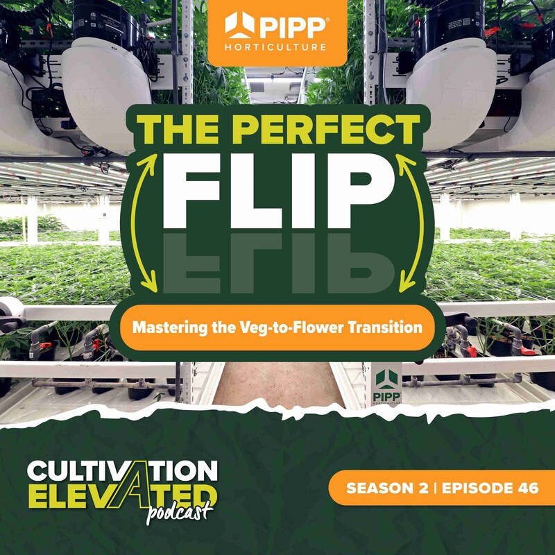 Artwork for podcast Cultivation Elevated - Indoor Farming, Cannabis Growers & Cultivators - Pipp Horticulture