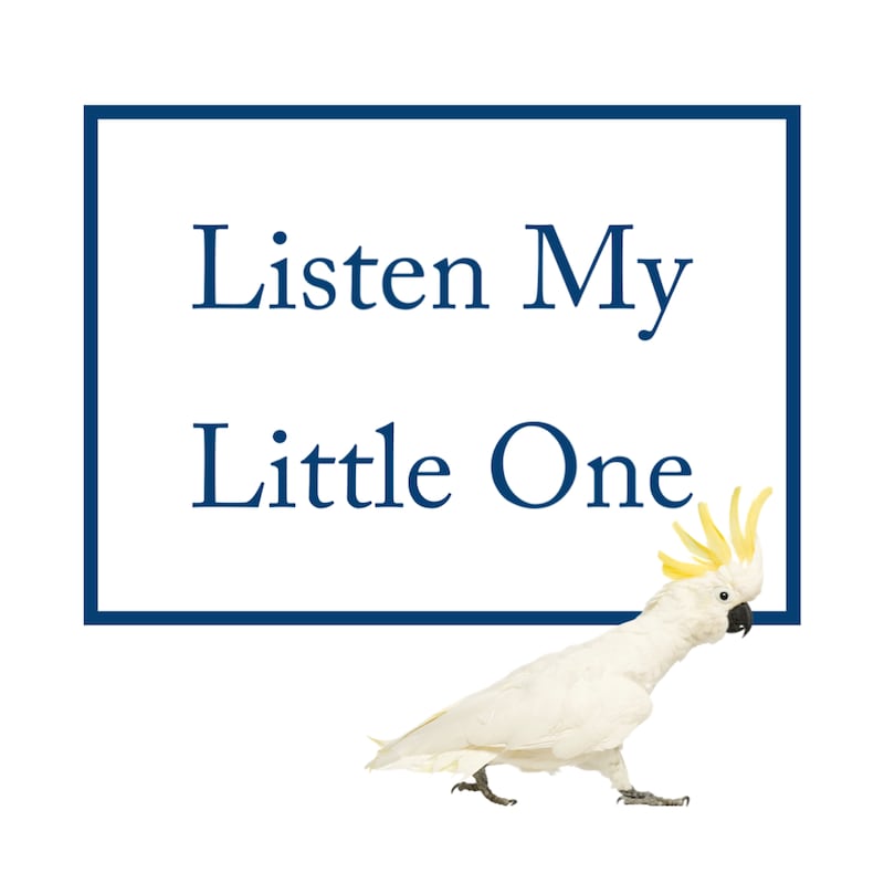 Artwork for podcast Listen My Little One
