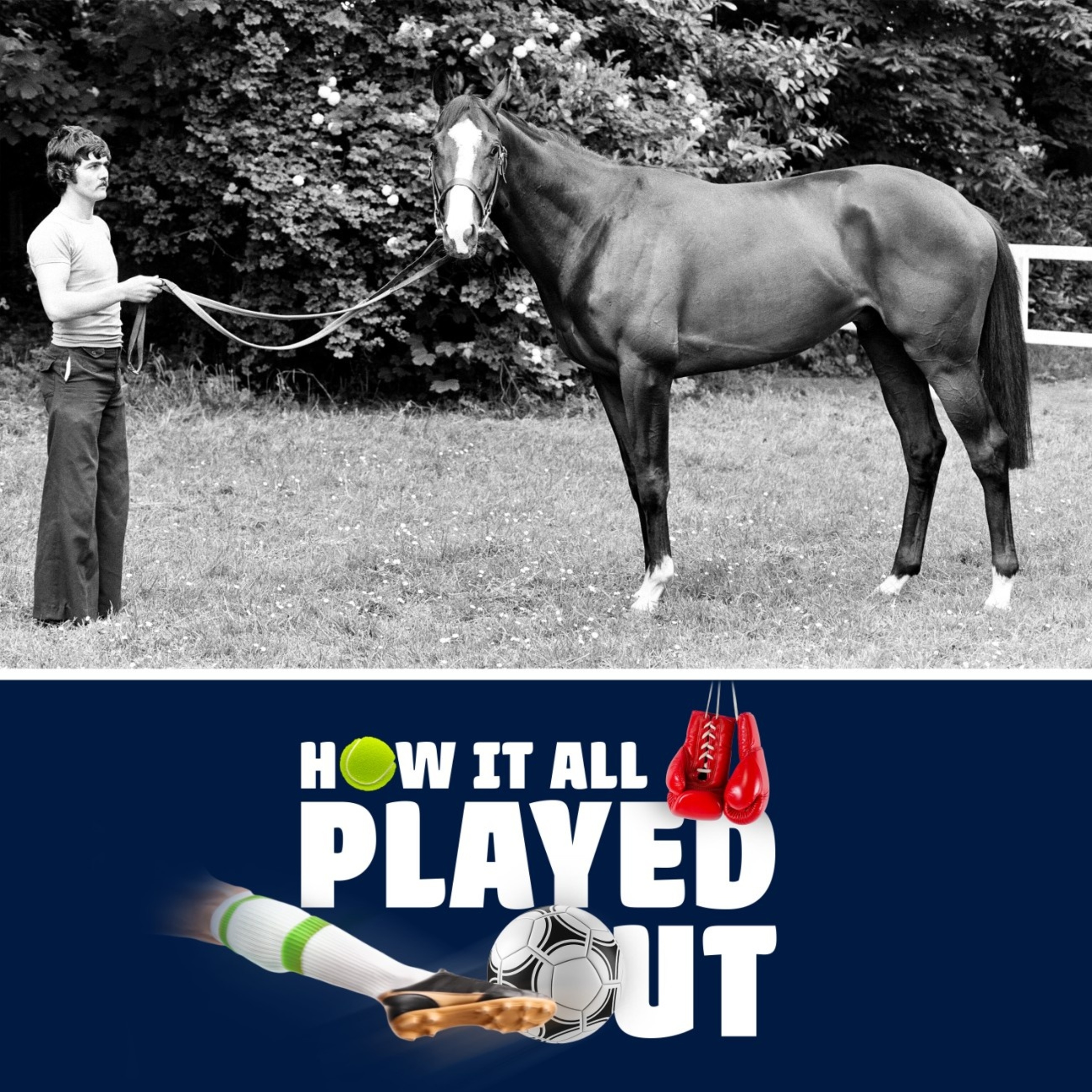 Who Kidnapped Shergar? The Mystery of the World’s Most Famous Racehorse