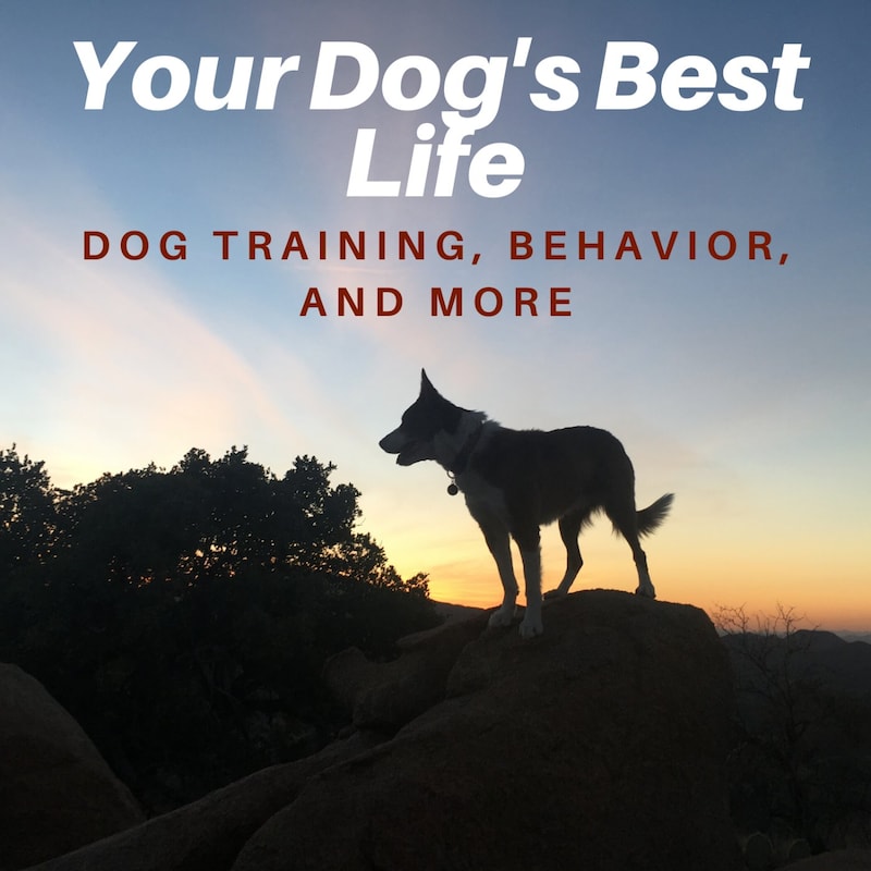 Artwork for podcast Your Dog's Best Life