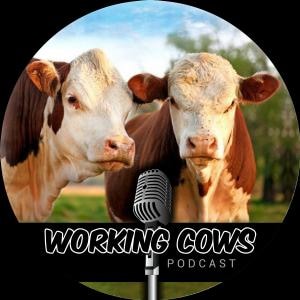 Artwork for podcast Podcast Rodeo  Show: Reviews and First Impressions of Your Podcast