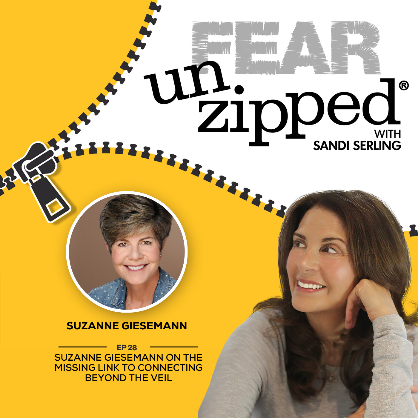 028: Suzanne Giesemann on The Missing Link to Connecting Beyond the Veil episode artwork