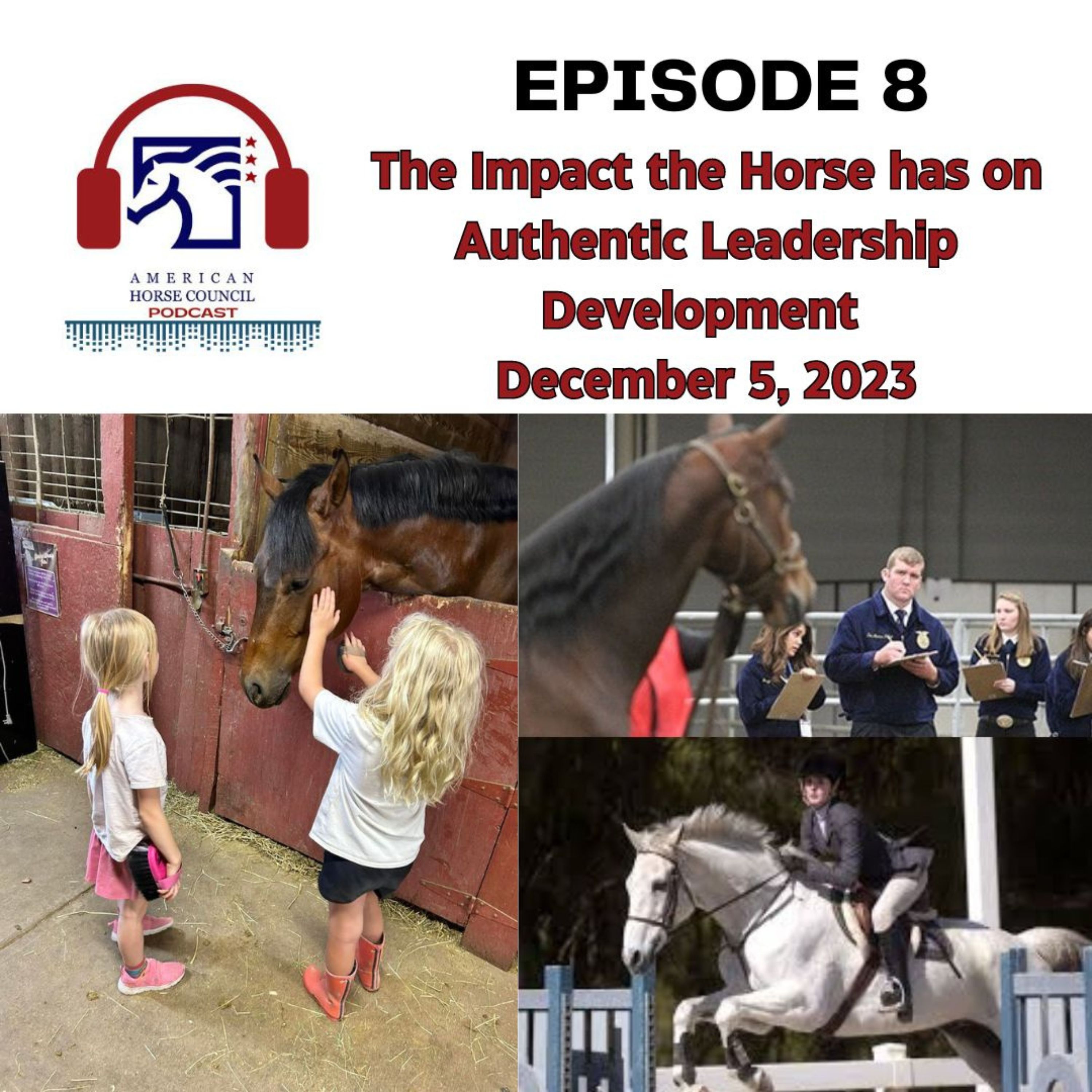 HRN Auditor Podcast