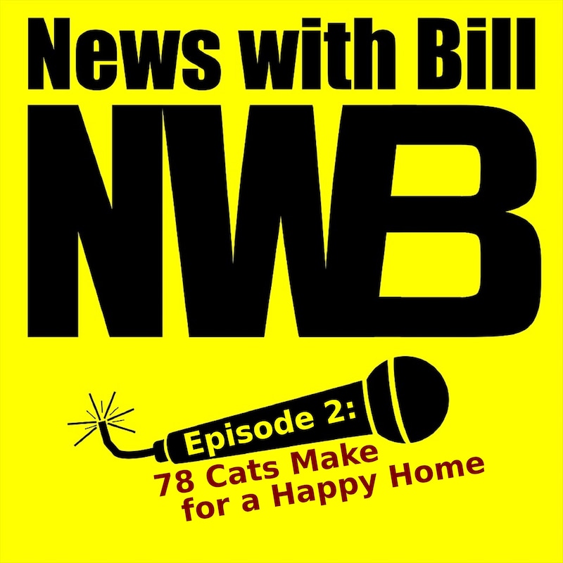 Artwork for podcast News with Bill