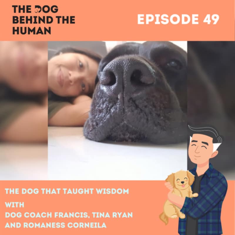 Artwork for podcast The Dog Behind The Human