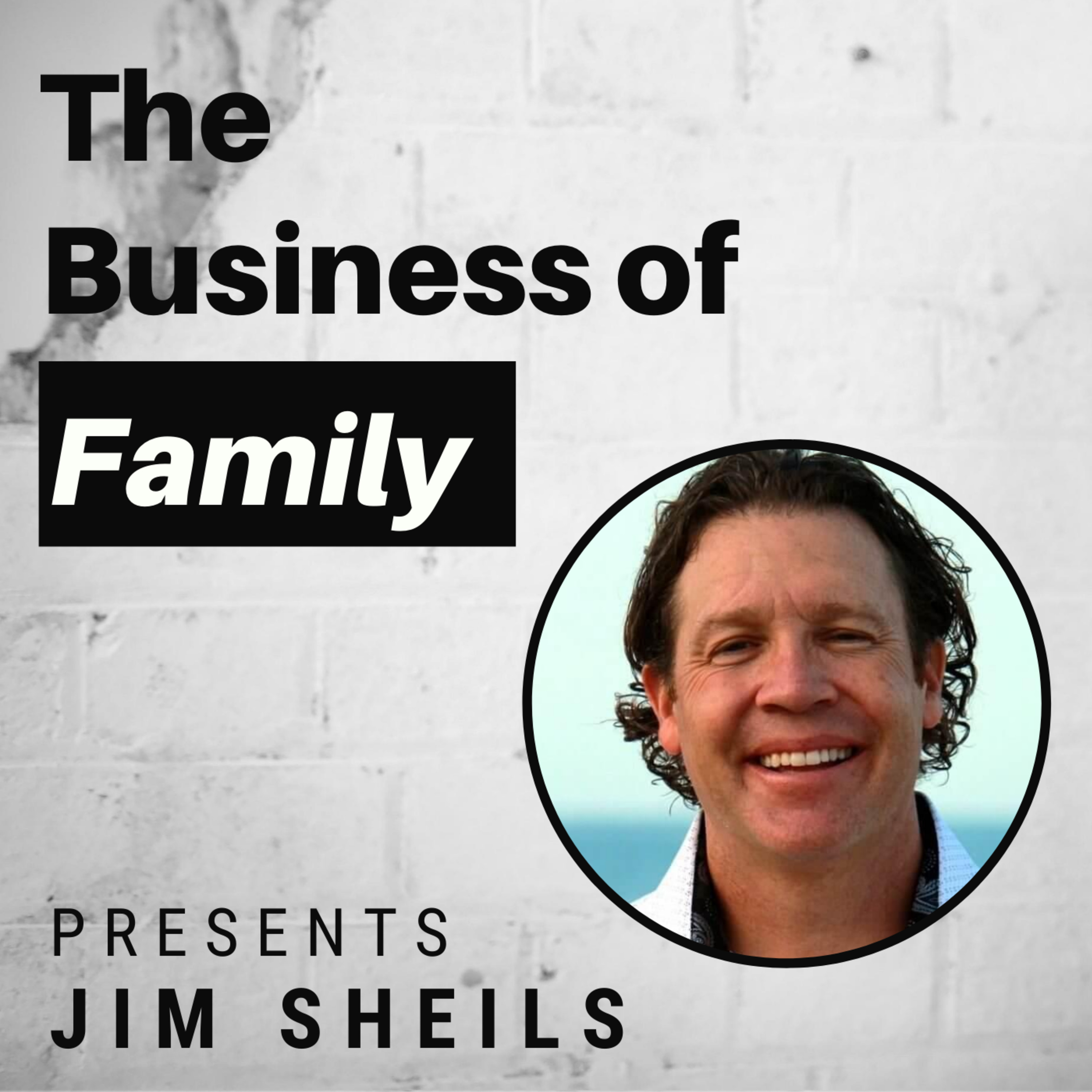 Cover art for “Jim Sheils - The Family Board Meeting”