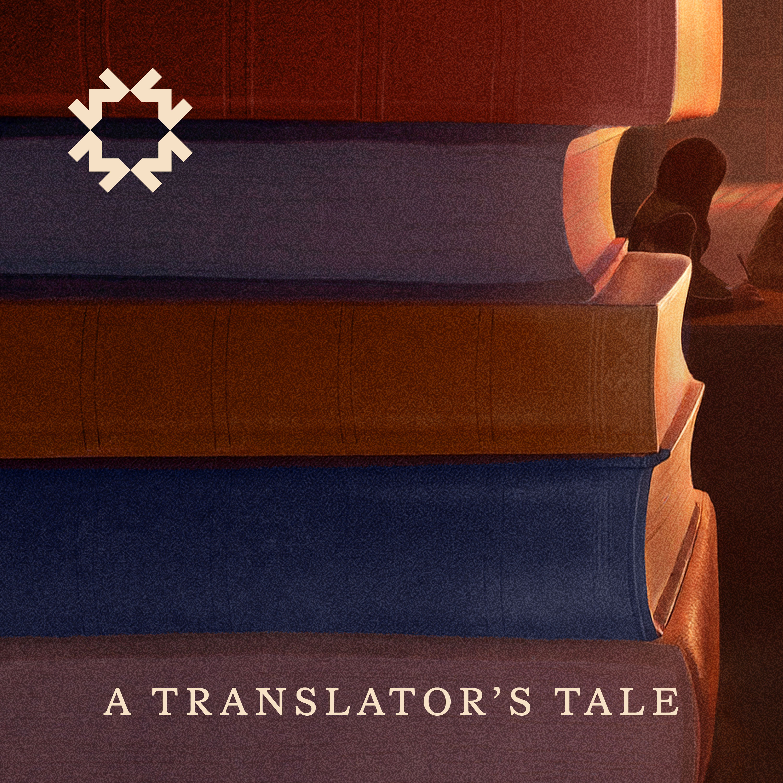 #3.5 A Translator's Tale (from The Digital Sisterhood)