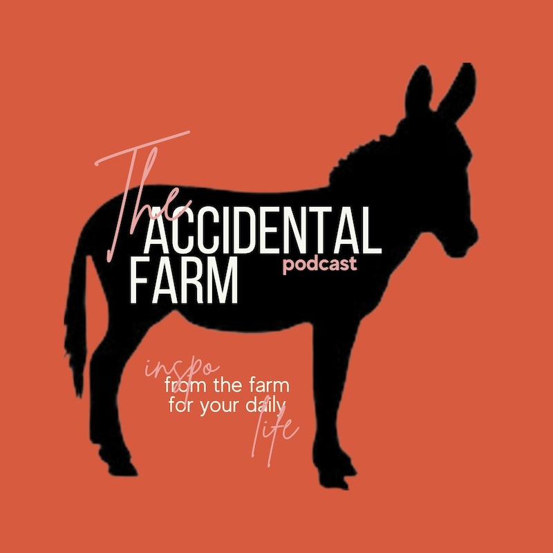 Artwork for podcast The Accidental Farm