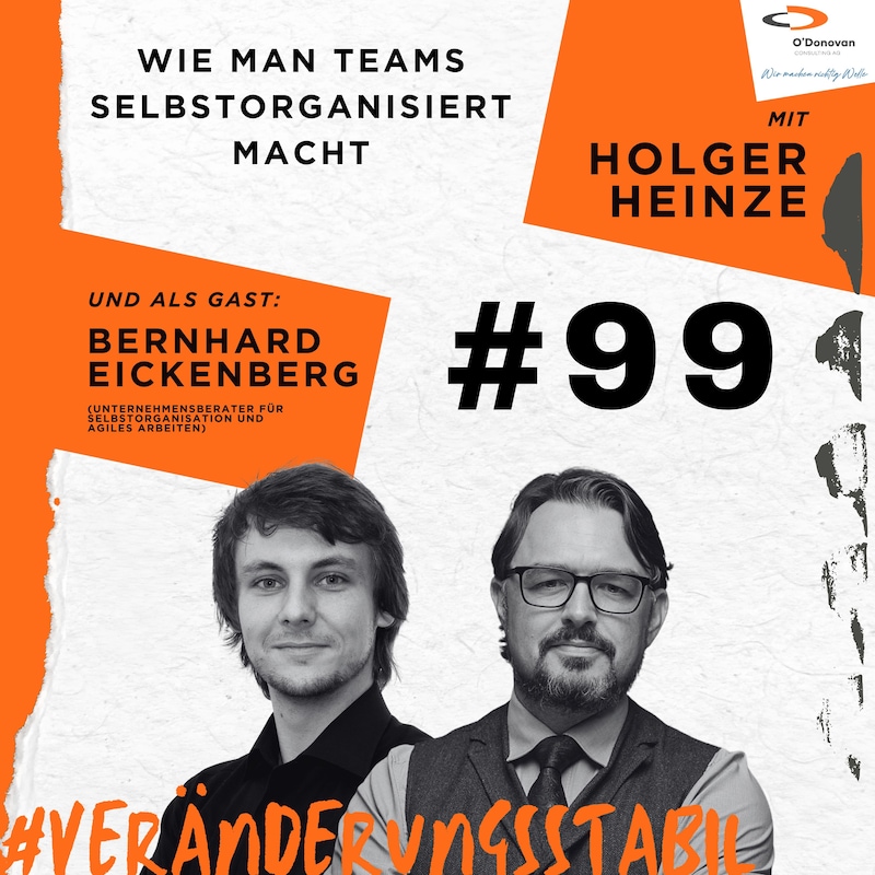 Artwork for podcast Veränderungsstabil