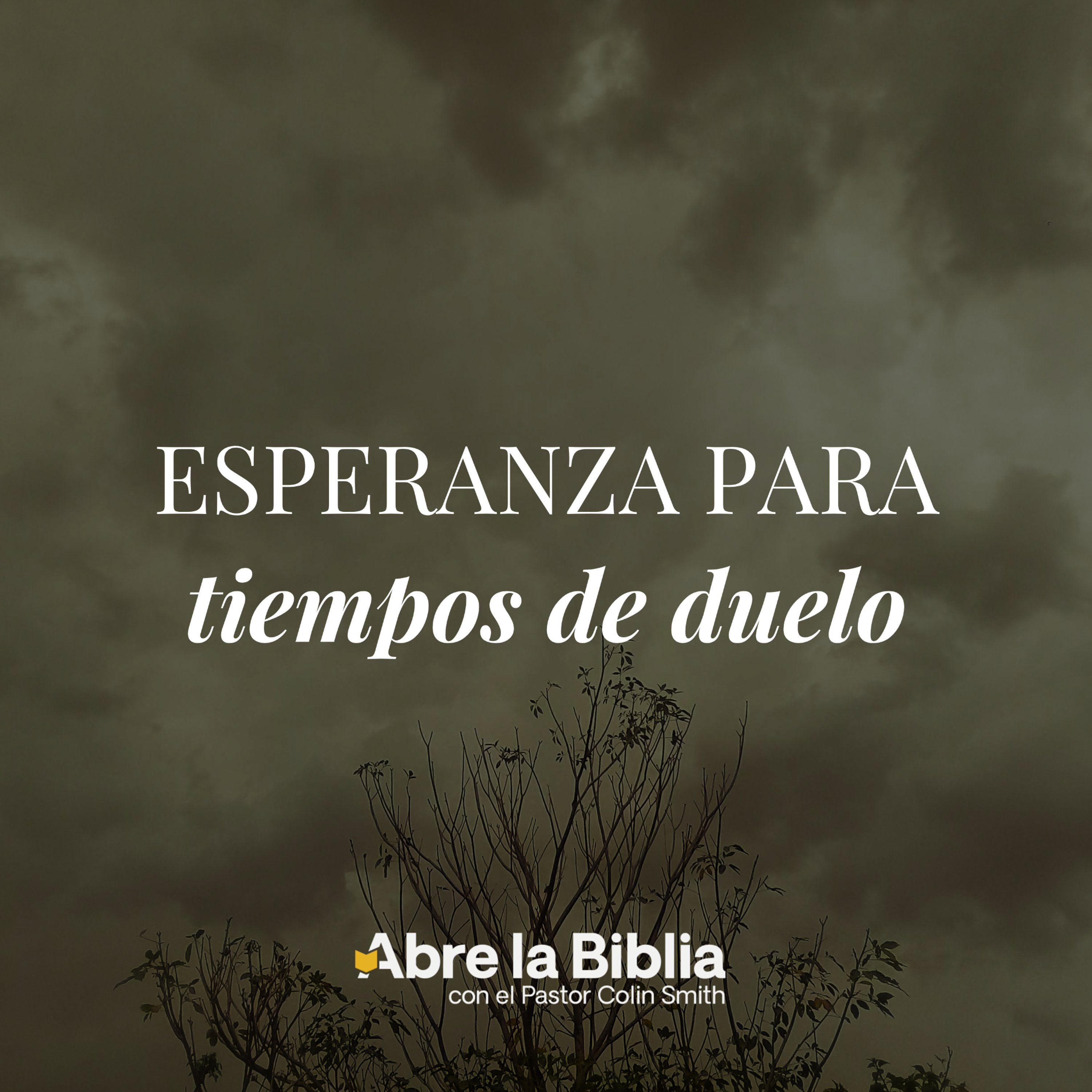 Lágrimas y palabras, Parte 2 episode artwork