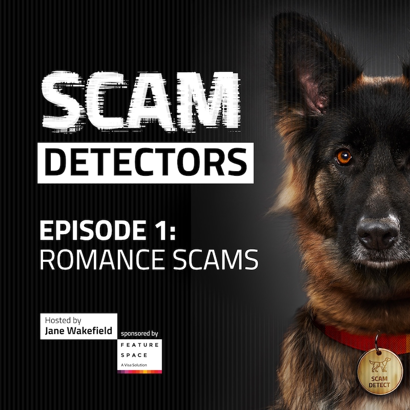 Artwork for podcast Scam Detectors
