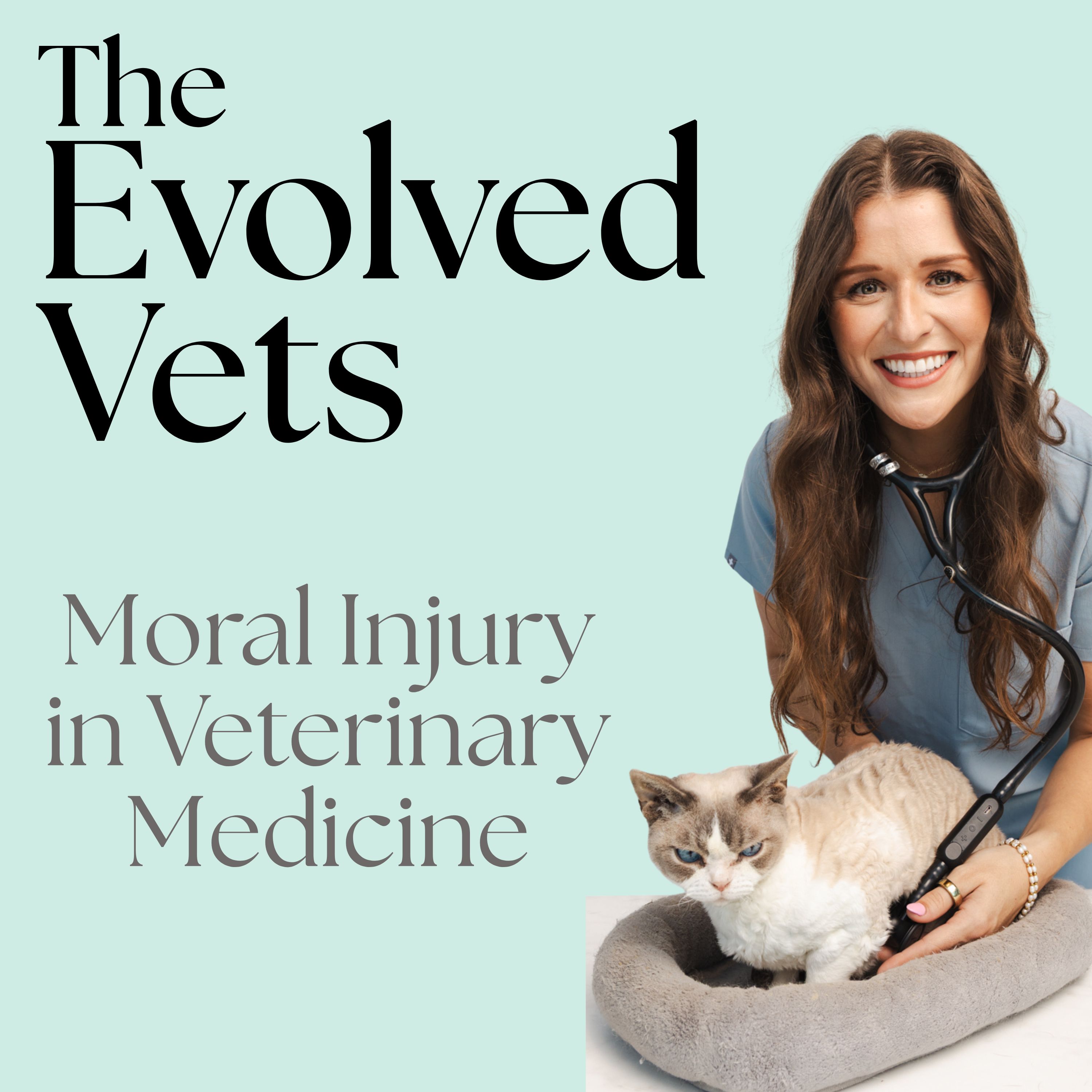 Moral Injury in Veterinary Medicine: The Hidden Amplifier of Burnout (Ep 34) episode artwork