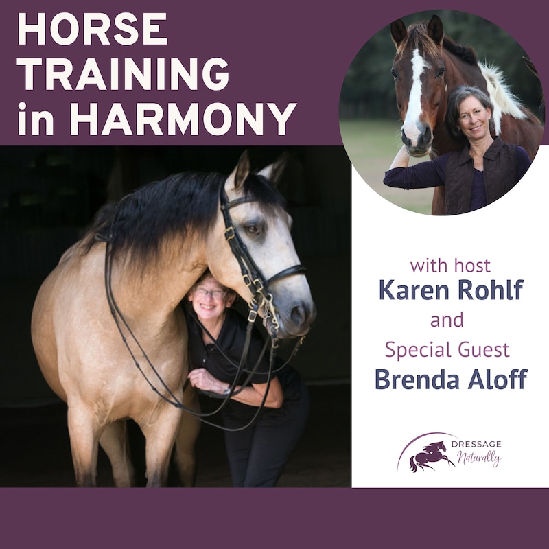 Artwork for podcast Horse Training in Harmony