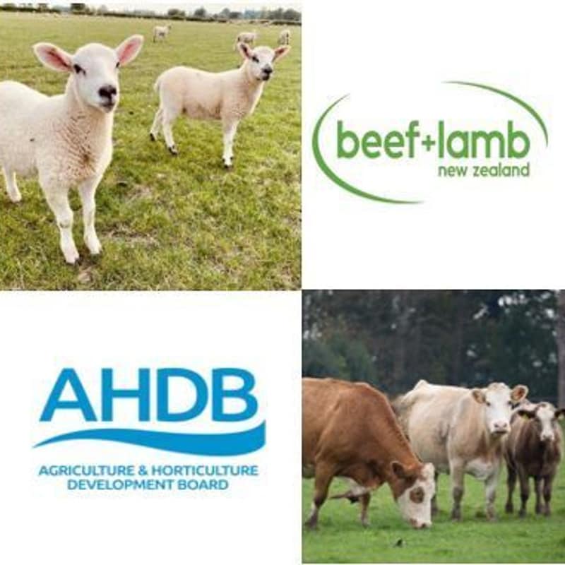 Artwork for podcast AHDB Food & Farming