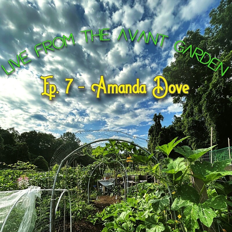 Artwork for podcast Live from the Avant Garden