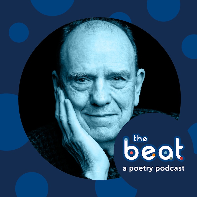 Artwork for podcast Knox Pods